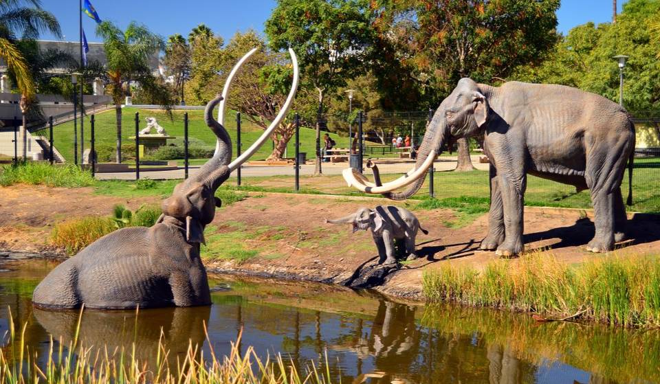 Auf Wiedersehen, La Brea Tar Pits: Die beliebte Attraktion schließt für die nächsten zwei Jahre im Vorfeld der Olympischen Spiele 2028