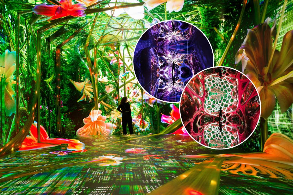 The World’s First Museum Of AI Arts Is Finally Opening In L.A. This Summer —...