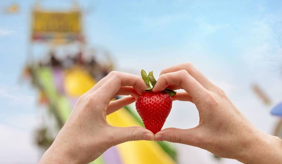 El Festival de la Fresa de California vuelve este fin de semana para celebrar su 40.º aniversario con 20 hectáreas de comida y actividades relacionadas con la fresa