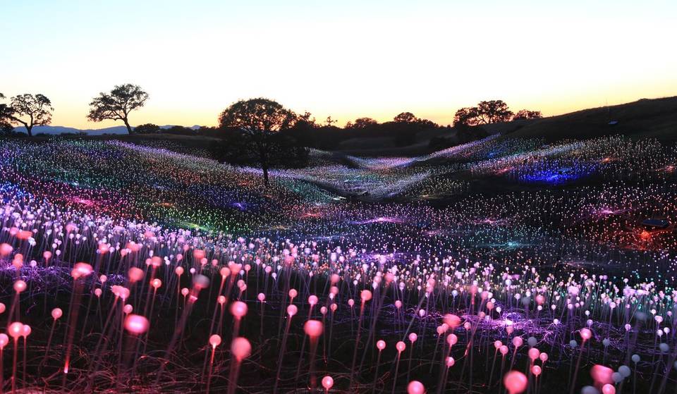 California’s Largest Outdoor Installation Is Celebrating Its 7th Anniversary Next Month — Spanning 35 Acres And Featuring Over 100,000 Lights