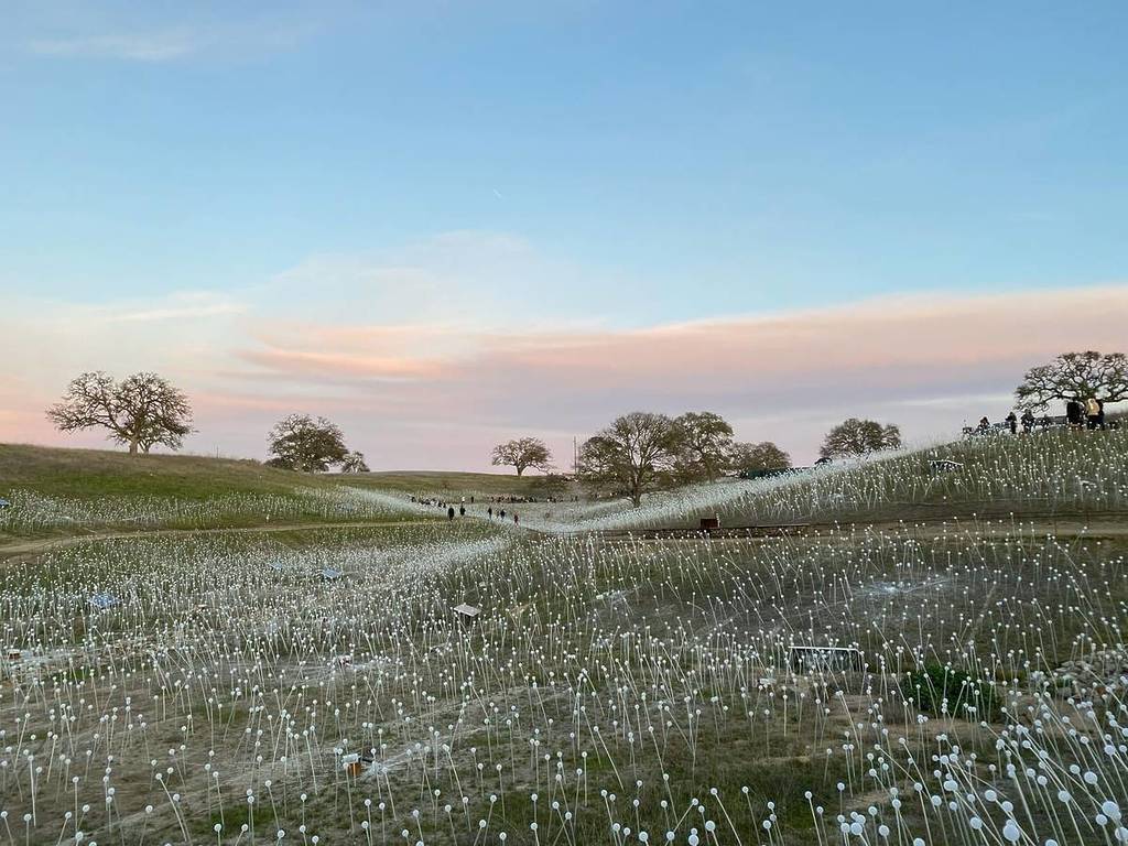 «Sensorio» al atardecer en Paso Robles, California.