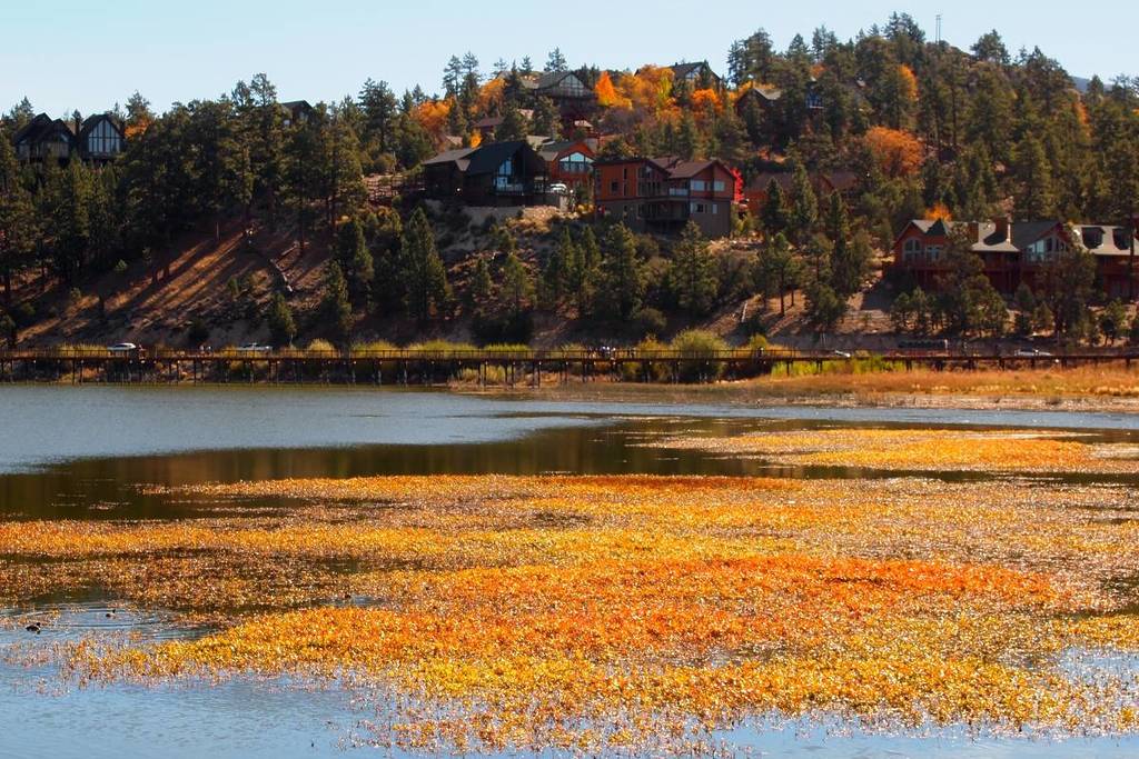 Big bear lake
