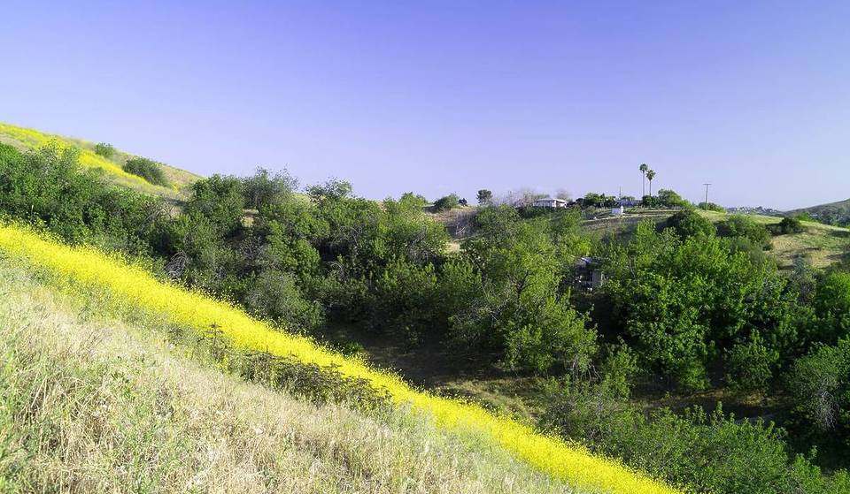 Tras casi dos décadas de esfuerzos de conservación, este pequeño sendero de 0,75 millas por fin ha abierto en Los Ángeles, dando acceso a uno de los espacios abiertos más recónditos de la ciudad