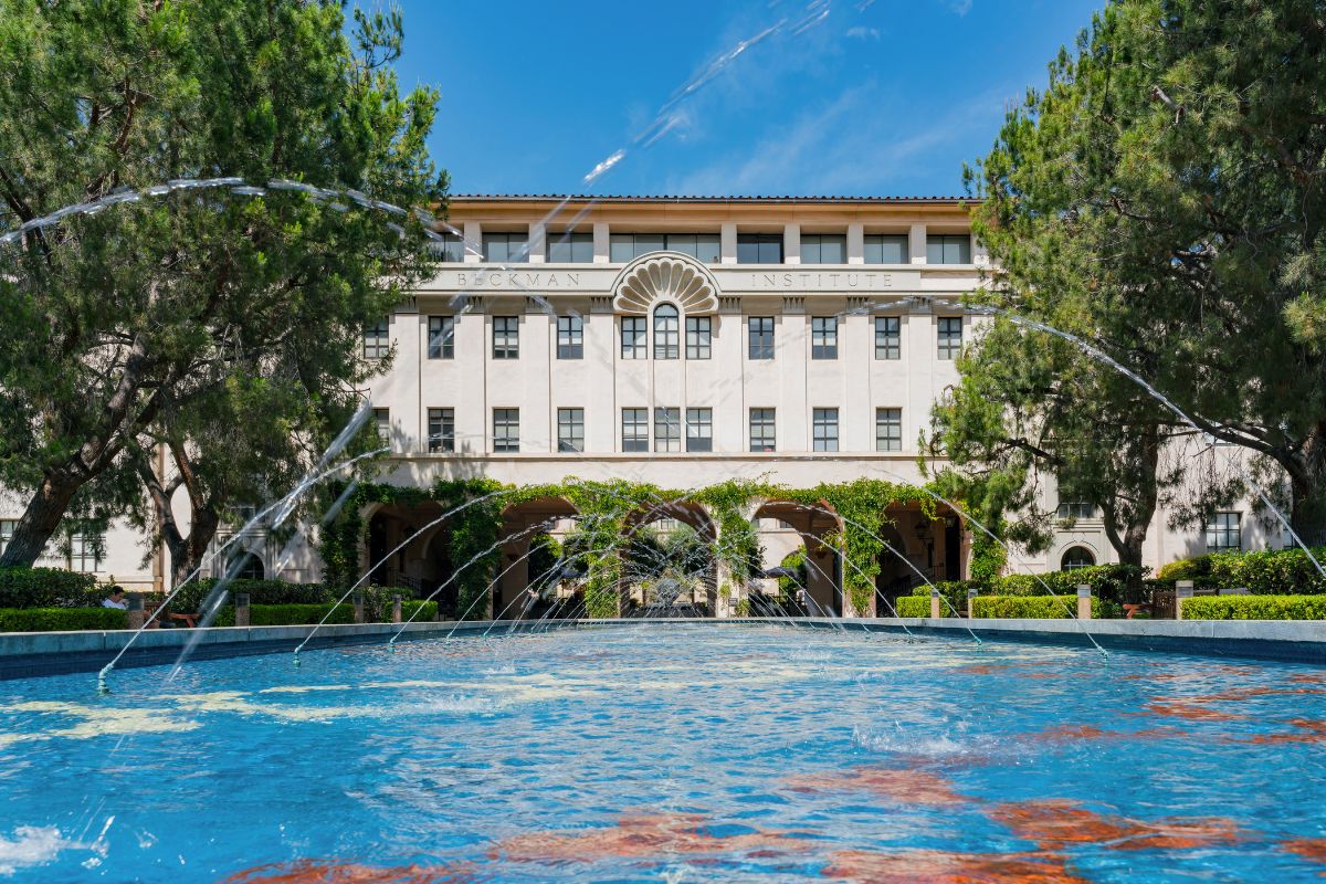 This California university has just been crowned America’s most affordable college for 2026 - Secret Los Angeles