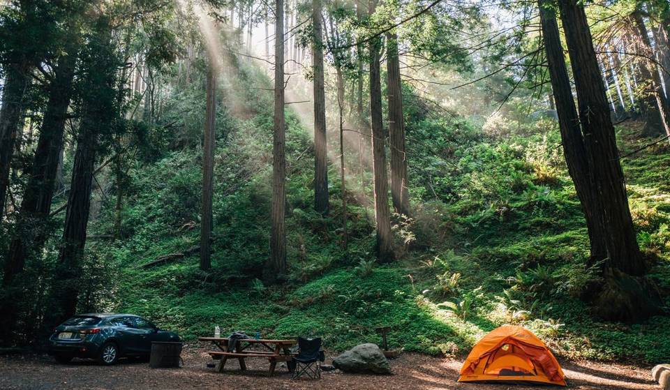California State Parks has quietly changed its reservation rules — including a calendar year booking ban for repeat no-shows