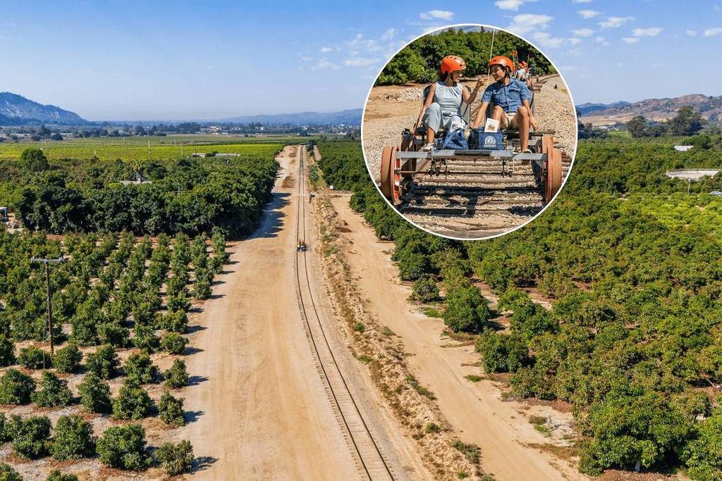 Aerial view of Sunburst Railbikes track through citrus groves.