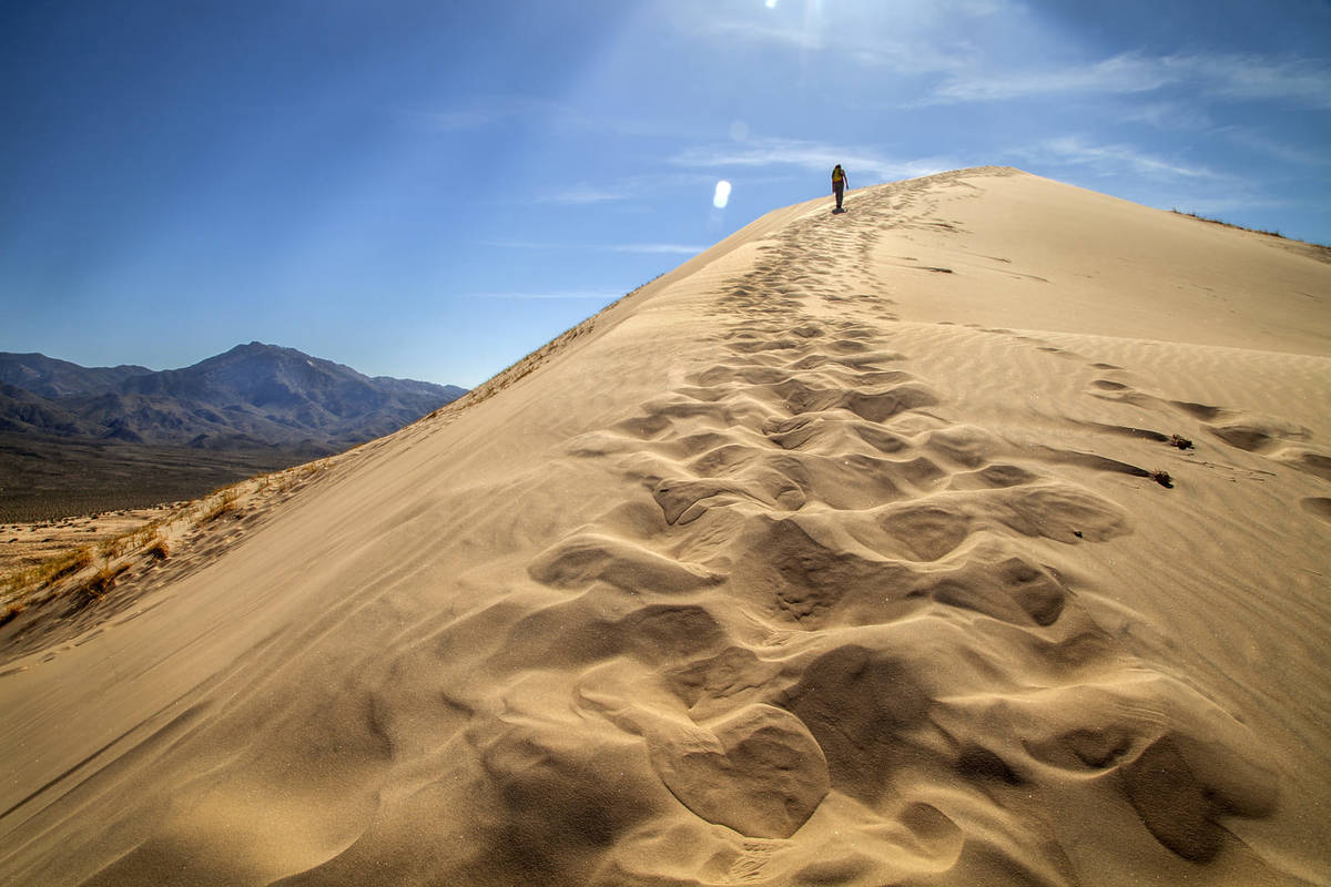 Outside Magazine named this first-come, first-served campsite as one of the best in California — it sits on an enormous Mojave Desert dune field famous for eerie ‘singing' sand