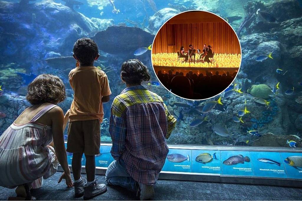 Una familia se agacha frente a un tanque del acuario.