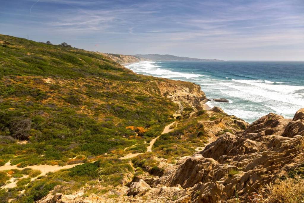 Torrey Pines