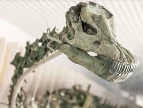 The largest natural history museum on the West Coast is home to the world’s only green-boned dinosaur fossil — dating back roughly 150 million years 