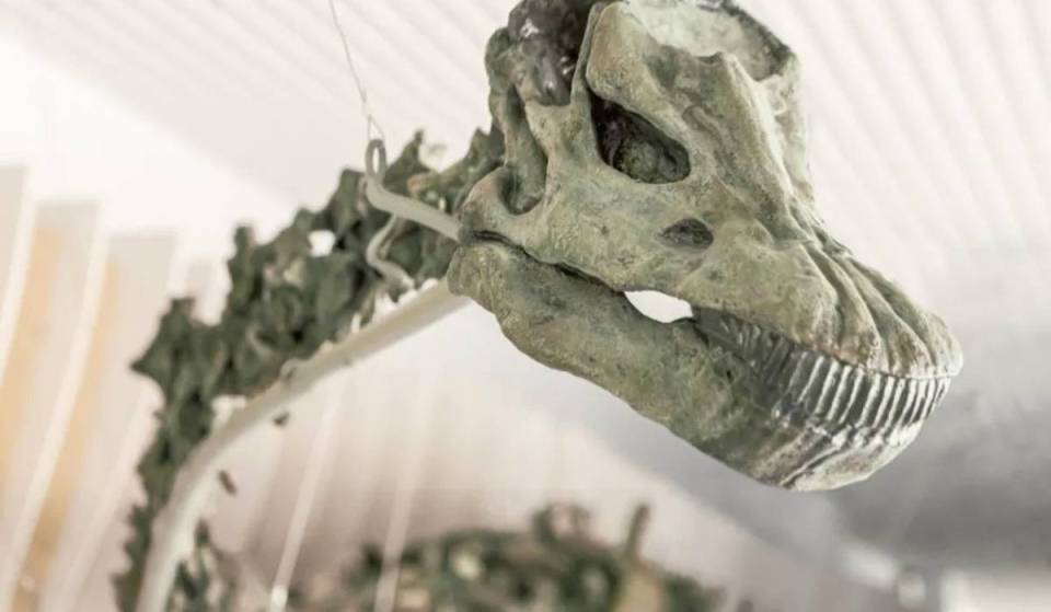 El museo de historia natural más grande de la costa oeste alberga el único fósil de dinosaurio de huesos verdes que se conoce en el mundo, que data de hace unos 150 millones de años 