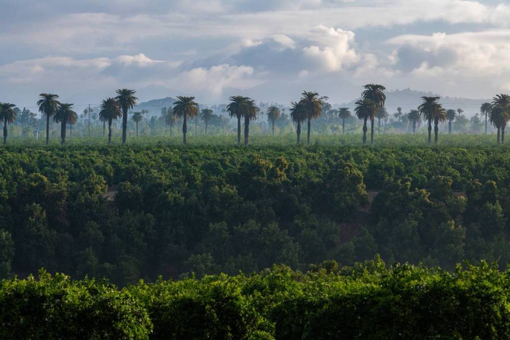 Parque Histórico Estatal de los Cítricos de California