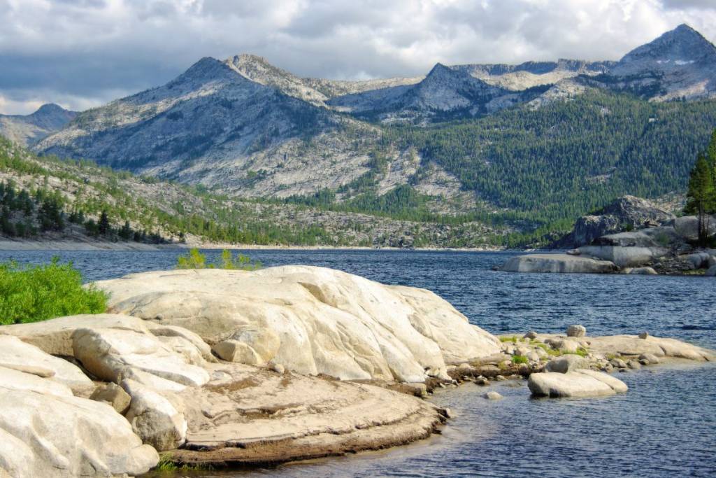 Sierra National Forest