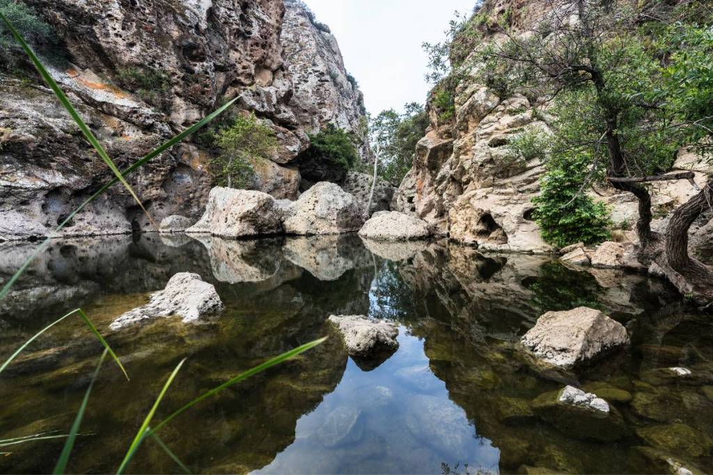 Malibu Rock Pool