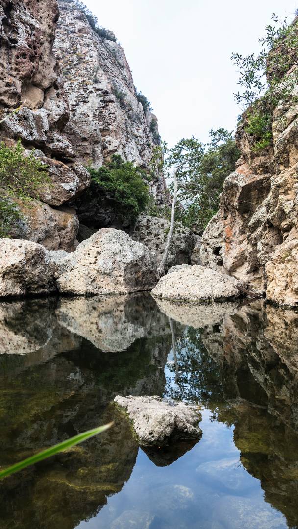 Cachée au cœur d’un canyon de roche volcanique, à une heure de Los Angeles, cette piscine naturelle est l’un des lieux de baignade les plus appréciés de Californie du Sud