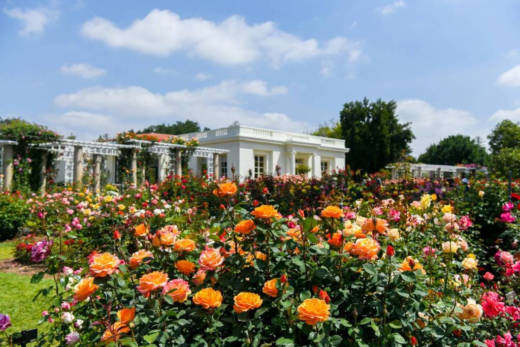Jardin Huntington