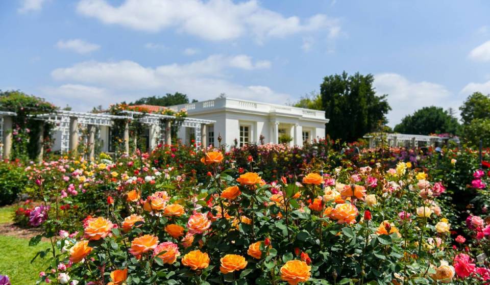 This 130-acre paradise with 16 dreamlike gardens is normally closed by dusk, but for only four evenings this summer, you can see it as the sun goes down