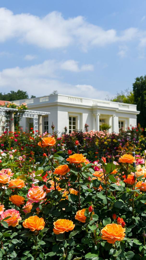 Ce paradis de 130 acres, avec ses 16 jardins de rêve, ferme normalement à la tombée de la nuit, mais pendant quatre soirées seulement cet été, tu pourras le découvrir au coucher du soleil