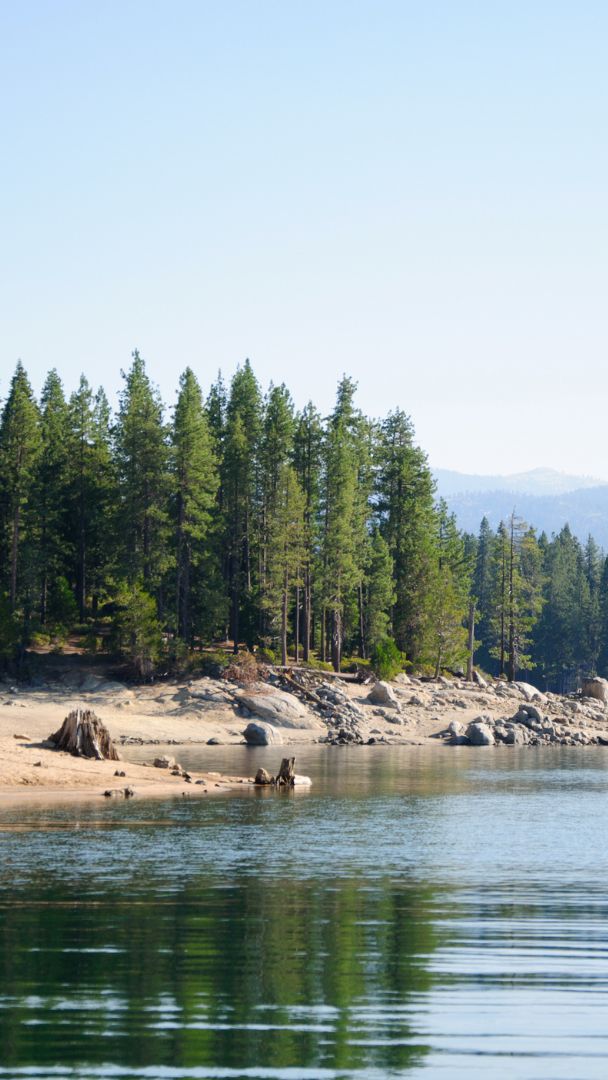 Tras meses de cierre, por fin reabren casi 100 parcelas de acampada en Sierra Nevada, incluidos lugares pintorescos cerca de Bass Lake y Shaver Lake 