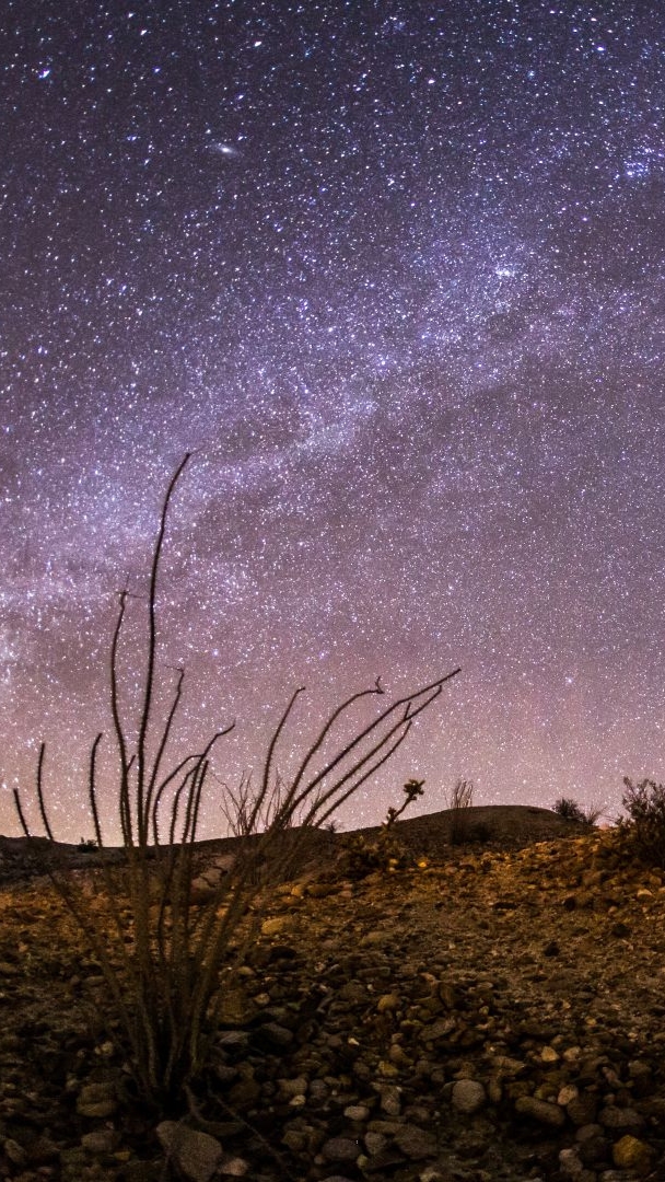 Este oasis en el desierto con cielos oscuros, a solo 2 horas de Los Ángeles, es oficialmente el lugar más popular de California para los avistamientos de ovnis