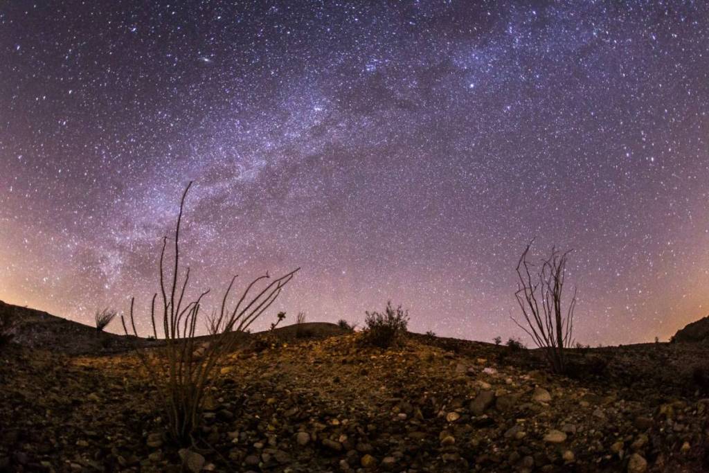 Le parc d'État du désert d'Anza-Borrego la nuit