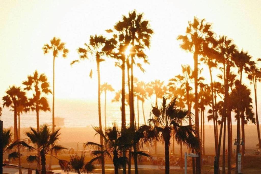 Hitze in LA