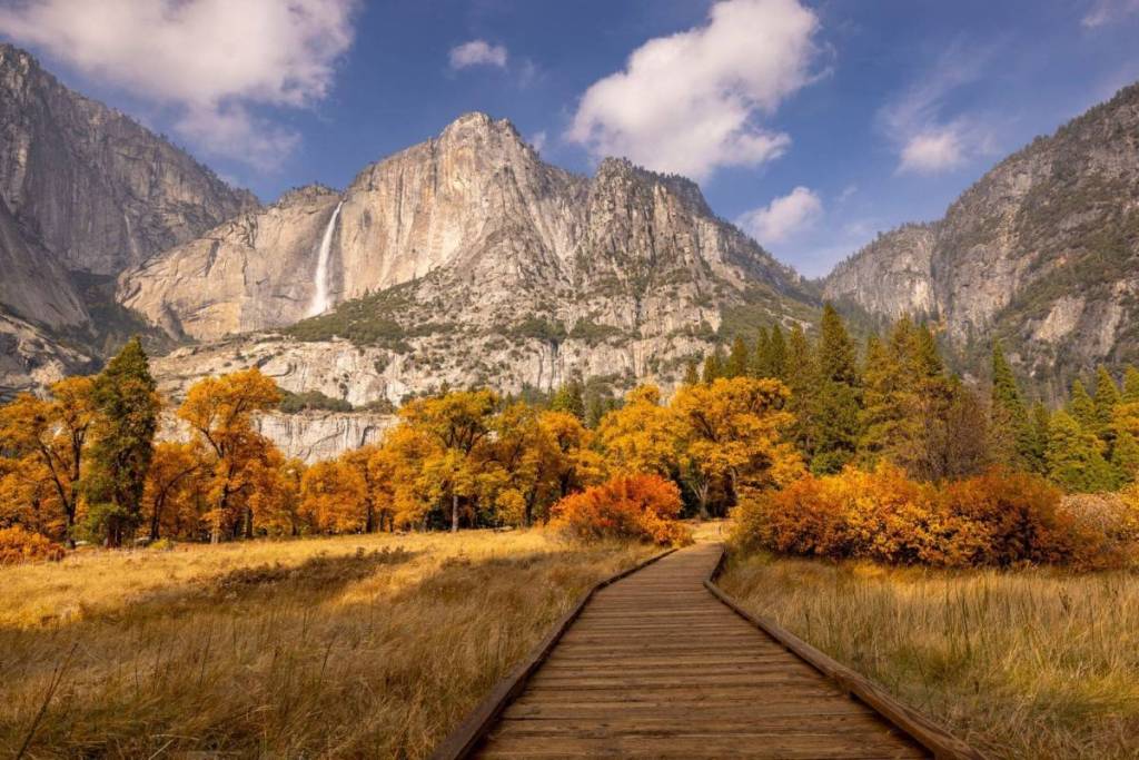 fall foliage at Yosemite