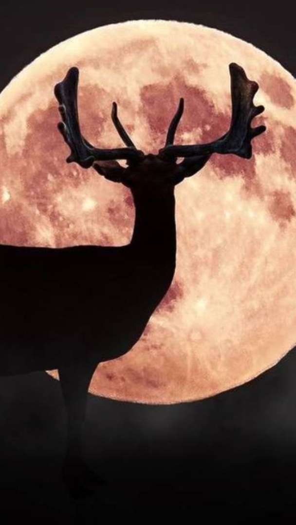 Oublie l’observation classique des étoiles : la plus grande pleine lune de juillet va créer une énorme illusion d’optique dans le ciel de L.A.
