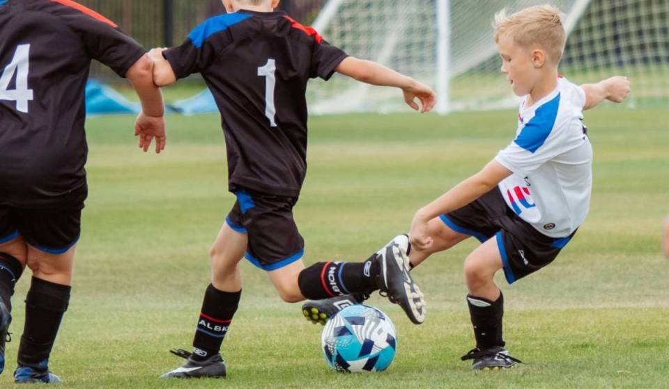 Portée par la Coupe du monde 2026 et ses quatre équipes de MLS, la Californie occupe la première place du classement des États américains les plus passionnés de foot, selon une nouvelle étude portant sur les 50 États
