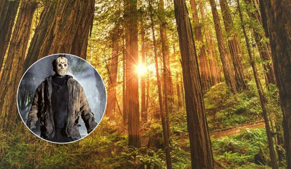 Un camp d’horreur de 12 heures, avec nuit sur place, débarque en Californie du Sud en août prochain – au programme : des égouts peuplés de zombies, des défis de survie et un marathon de films d’horreur