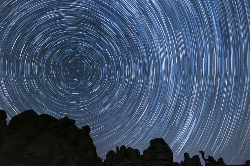 Joshua Tree