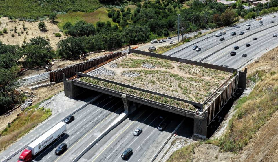 La autopista 101 de California sufrirá cierres diurnos esta semana debido a las obras del paso de fauna más grande del mundo