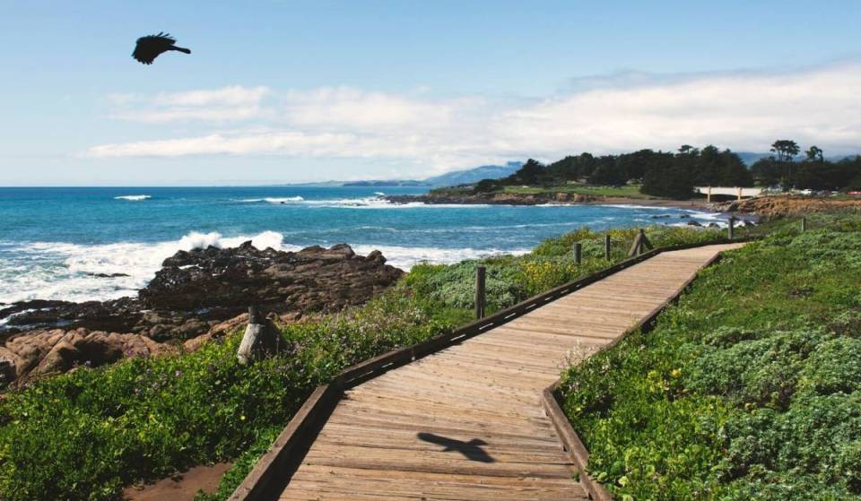 Located exactly halfway between L.A. and S.F., this seaside village was named one of the Pacific Coast’s best small towns for a weekend escape