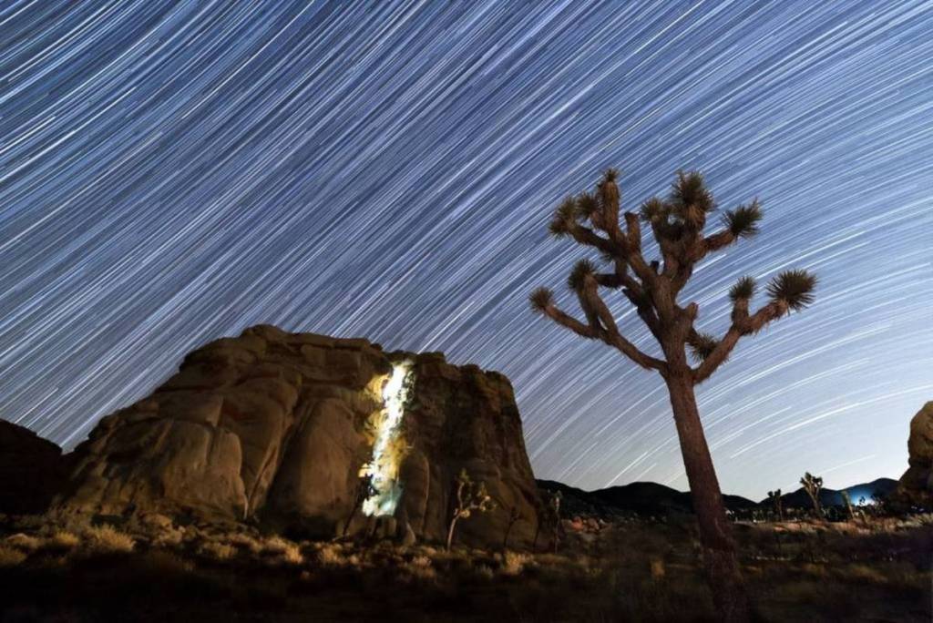 Traînées d’étoiles photographiées à Cyclops Rock, dans le parc national de Joshua Tree.