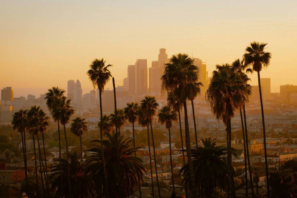 Sunrise in LA with palm trees and skyline.