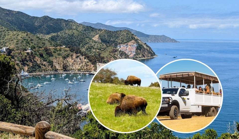 California’s least-visited National Park hides an island bison safari inside a 75-square-mile paradise, just 20 miles from L.A.
