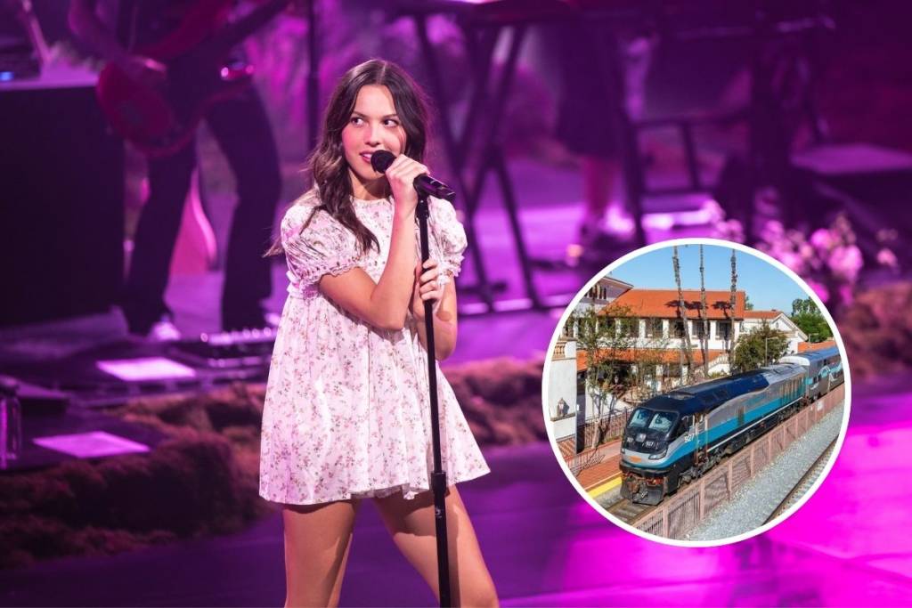 Metrolink x Olivia Rodrigo (3)