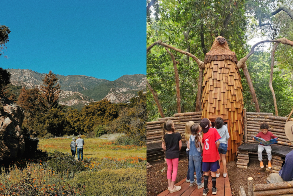 Santa Barbara Botanic Garden landscape and wood sculpture.