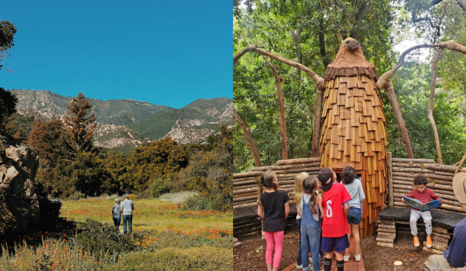 À 1 h 30 de Los Angeles : pour fêter ses 100 ans, le « premier jardin de plantes indigènes » des États-Unis propose des dimanches gratuits en octobre et une « silent disco » au milieu des séquoias