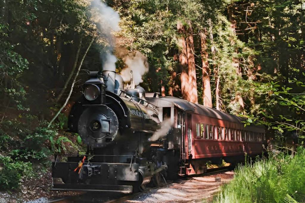 Skunk train_2