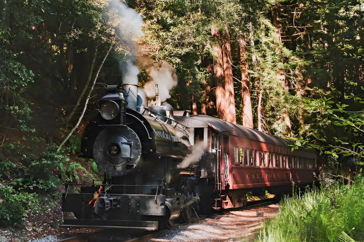California’s best scenic train ride is a 140-year-old railway winding through 381 curves and towering redwoods while climbing to 1,750 feet