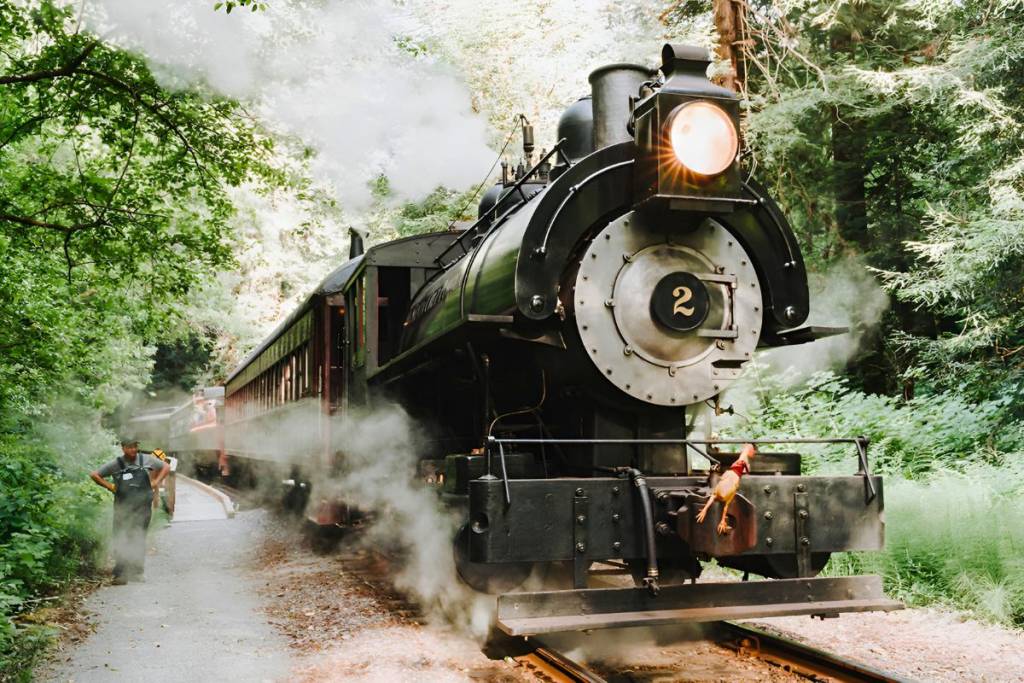Skunk train (1)