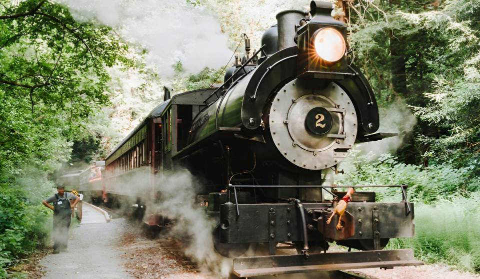 California’s best scenic train ride is a 140-year-old railway winding through 381 curves and towering redwoods while climbing to 1,750 feet 