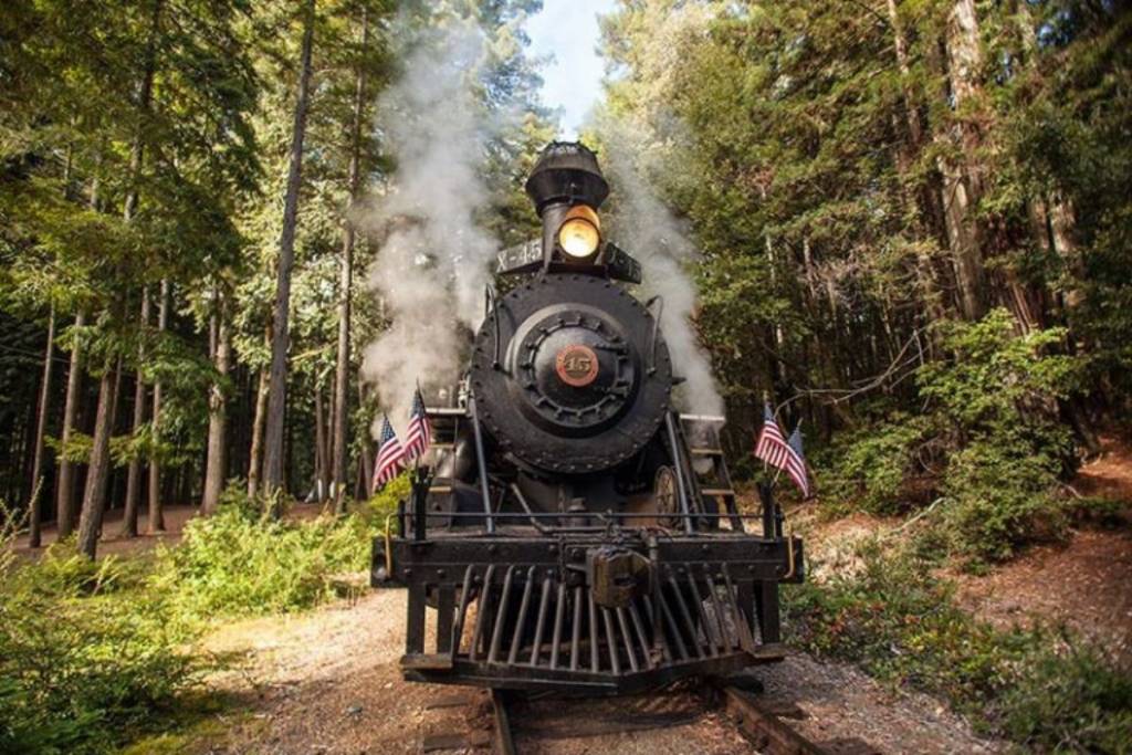 Skunk train (3)