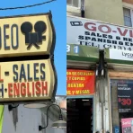 Ein Blick hinter die Kulissen von Go Video in Los Angeles: Spanische DVDs und Leihfilme