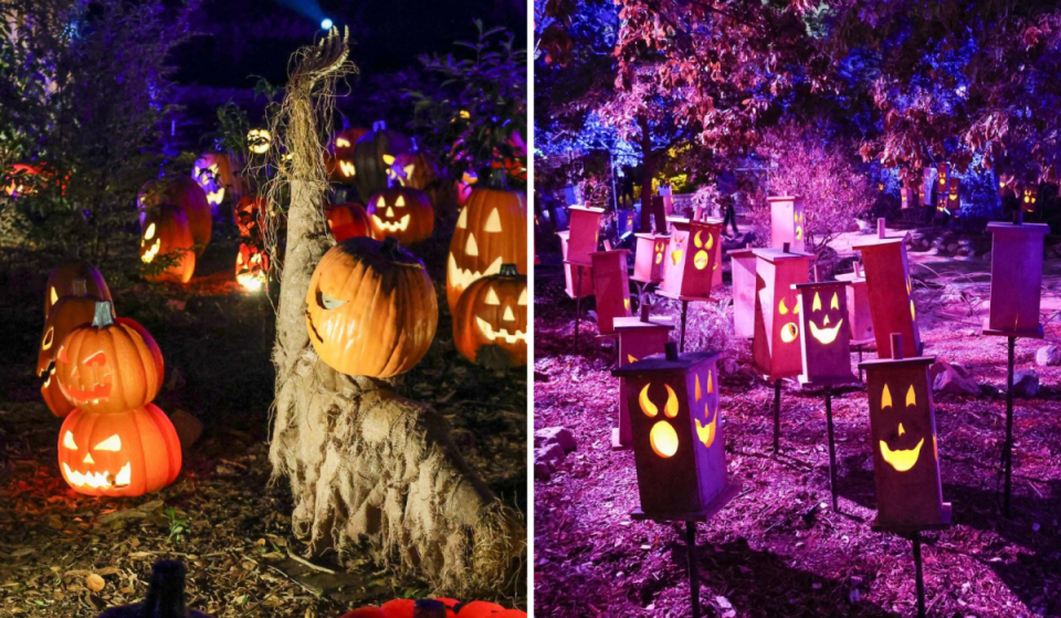 Thousands of hand-carved pumpkins are lighting up this 150-acre SoCal garden after dark, just 30 minutes from L.A.