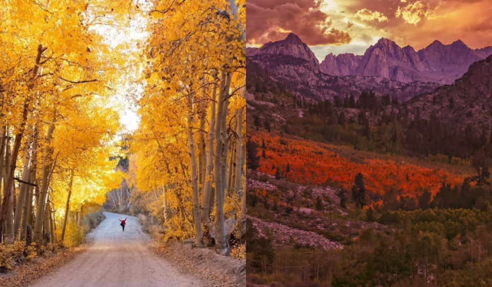 ‘It could give the East Coast a run for its money:’ This small California mountain town is the state’s ultimate fall foliage escape