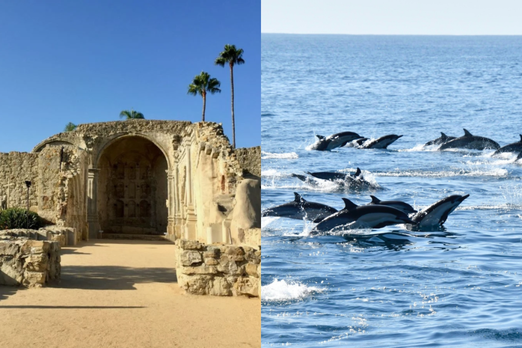 Mission San Juan Capistrano and pod of dolphins