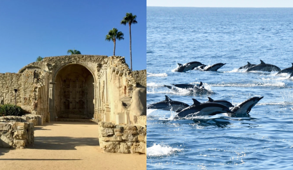 1 hour south of Los Angeles: California’s oldest neighborhood is just 5 miles away from the ‘dolphin and whale watching capital of the world’