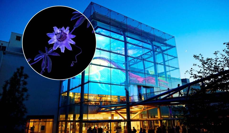 Cet hiver, le Musée d’histoire naturelle de L.A. se transforme en un véritable pays des merveilles lumineux à la tombée de la nuit, avec des dinosaures illuminés et des projections cinématographiques